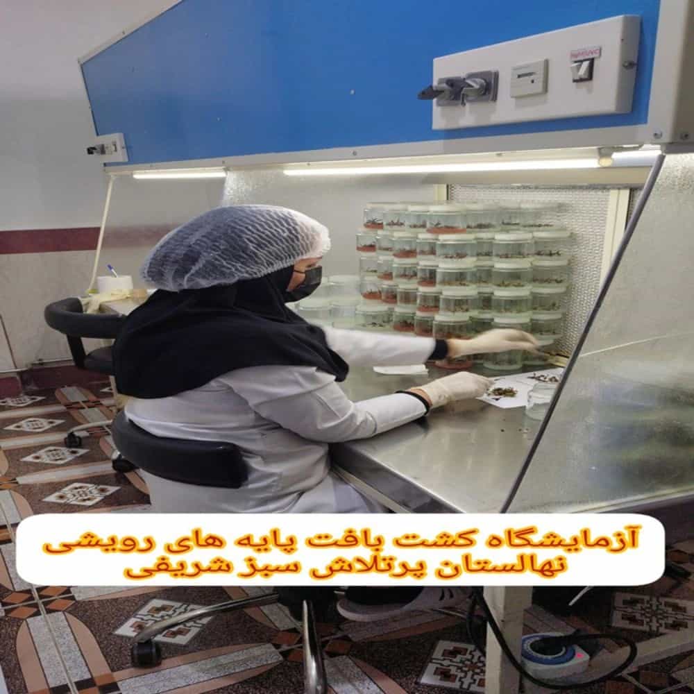 1734339526051.webp